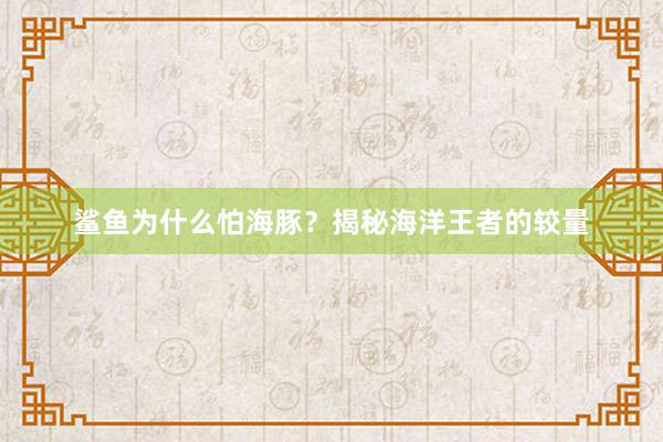鲨鱼为什么怕海豚？揭秘海洋王者的较量