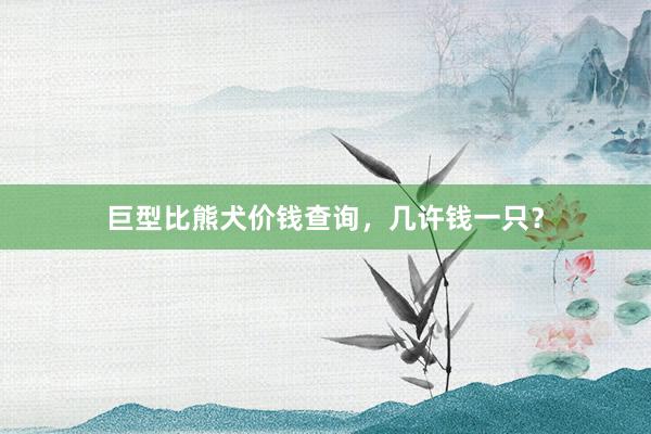 巨型比熊犬价钱查询，几许钱一只？